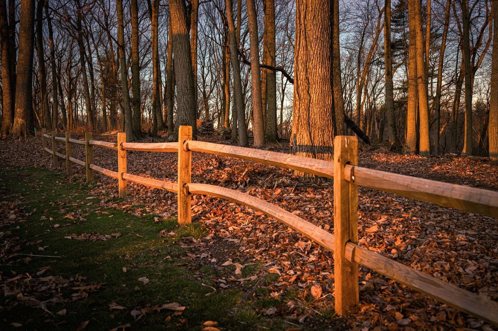 A split-rail fence at sunrise in the woods of Hershey, Pennsylvania